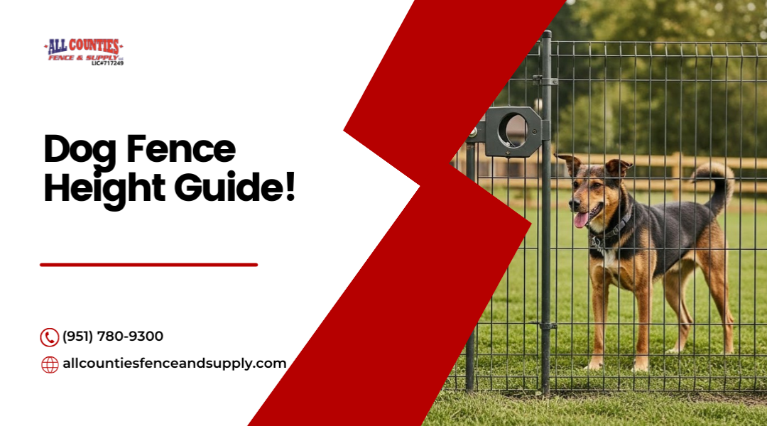 Dog Fence Height Guide in Riverside: