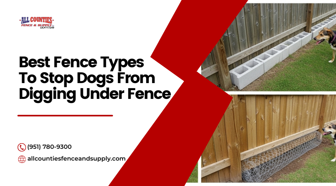 Best Fence Types To Stop Dogs From Digging